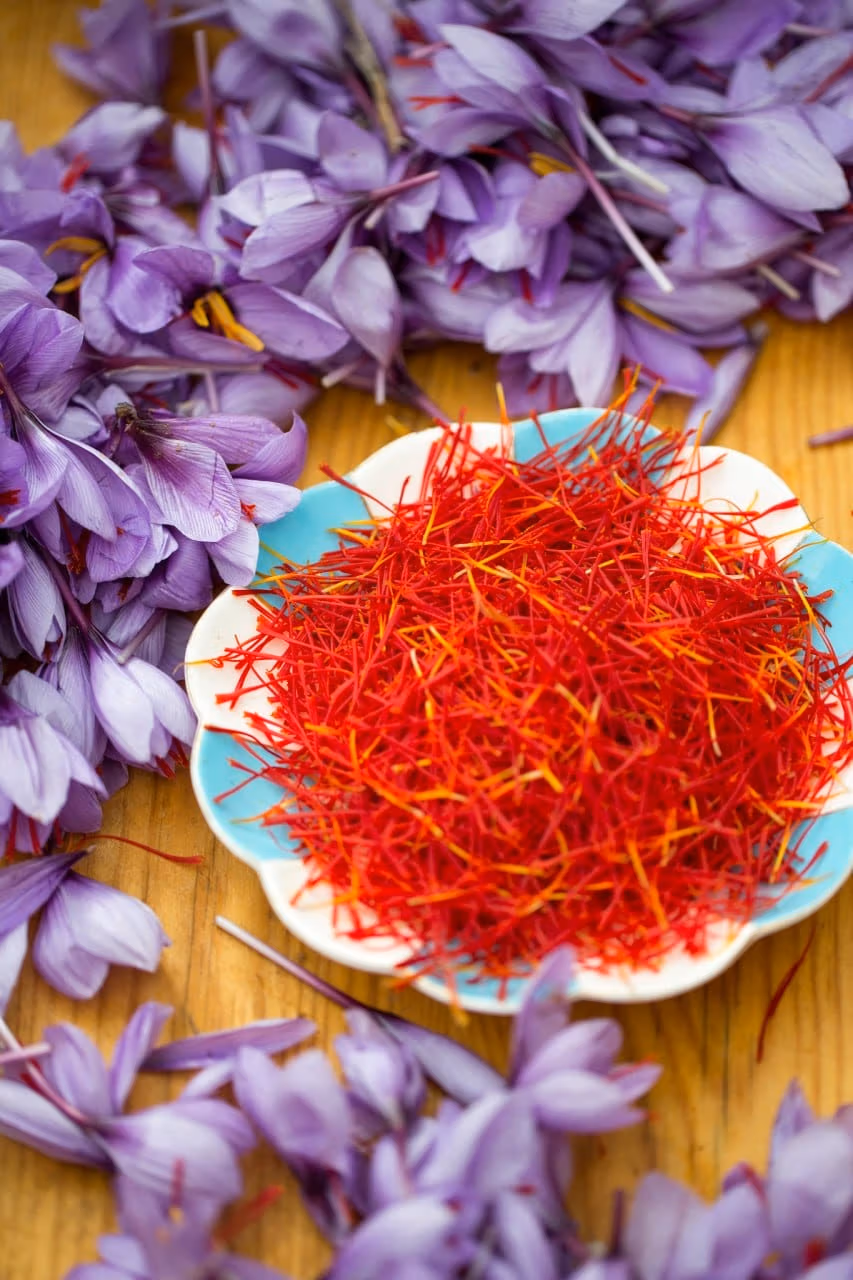 Saffron crocus flowers and threads