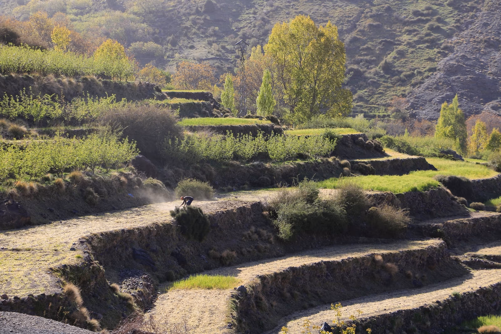 Discovering the Berbers of Toubkal — photo 2
