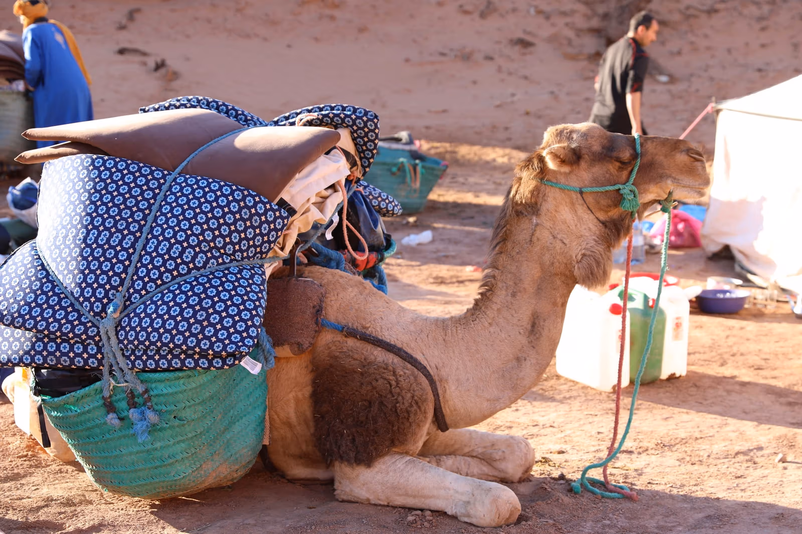 Camel Trekking — photo 3