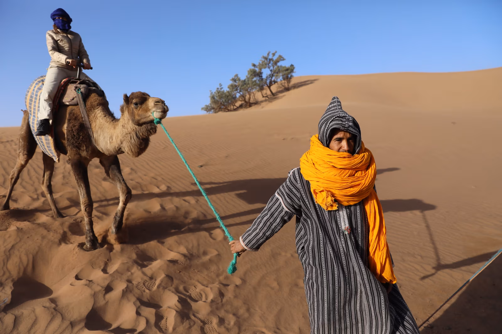 A handler in a yellow turban leading a line of camels across the sand