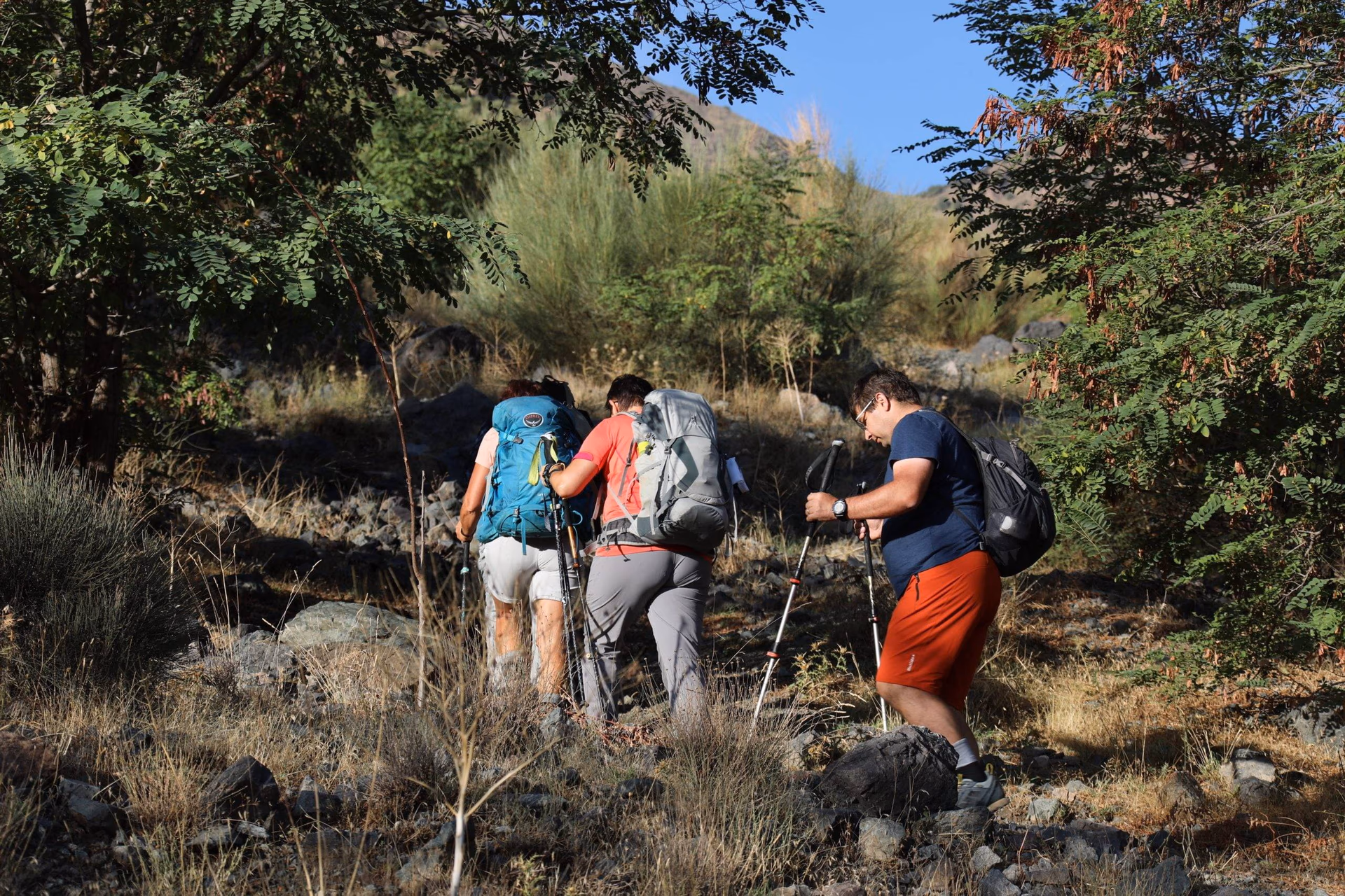 Azzaden Valley trek — walnut groves and Berber villages in the High Atlas